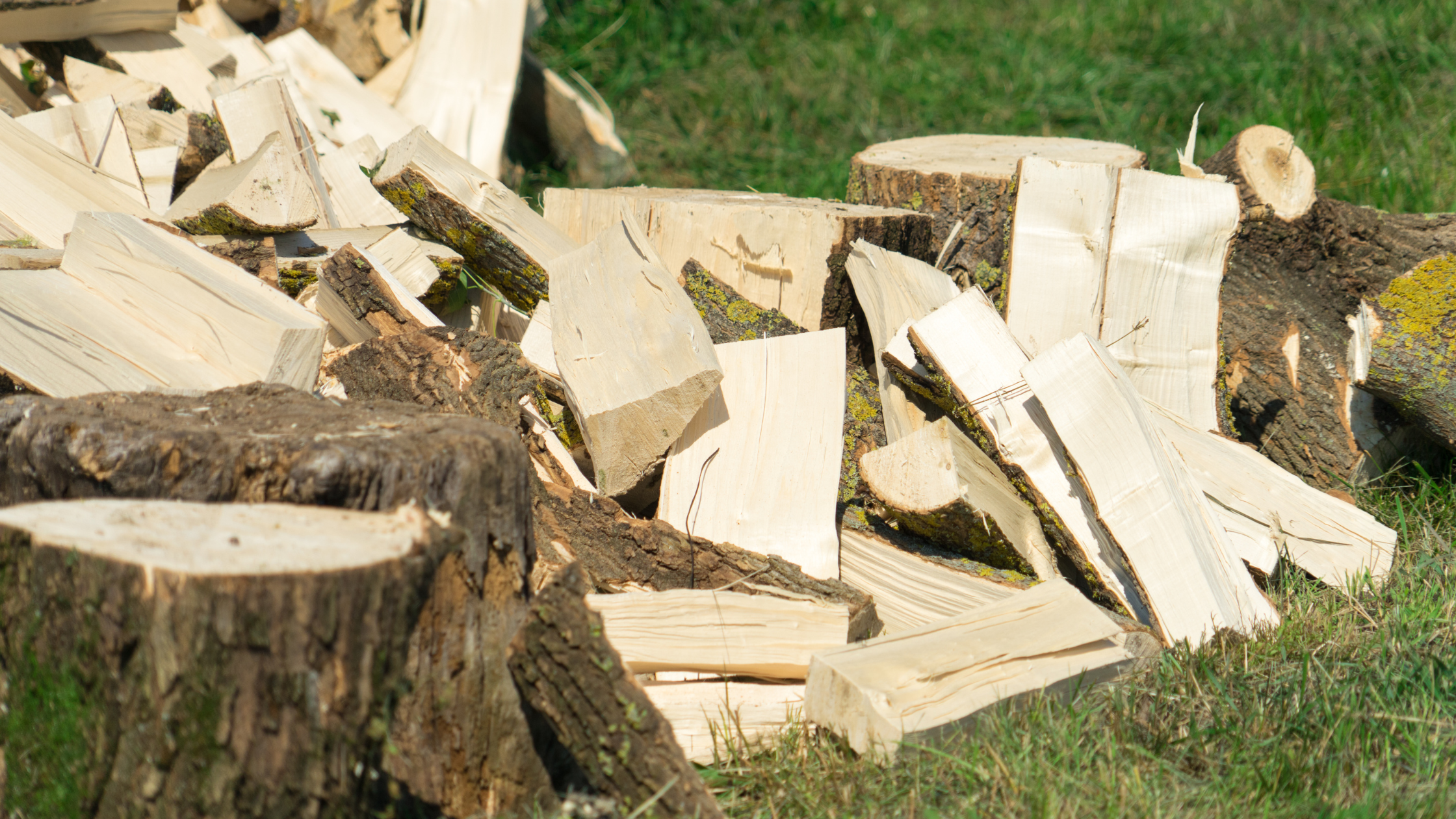 Choosing the Best Wood for Your Sauna