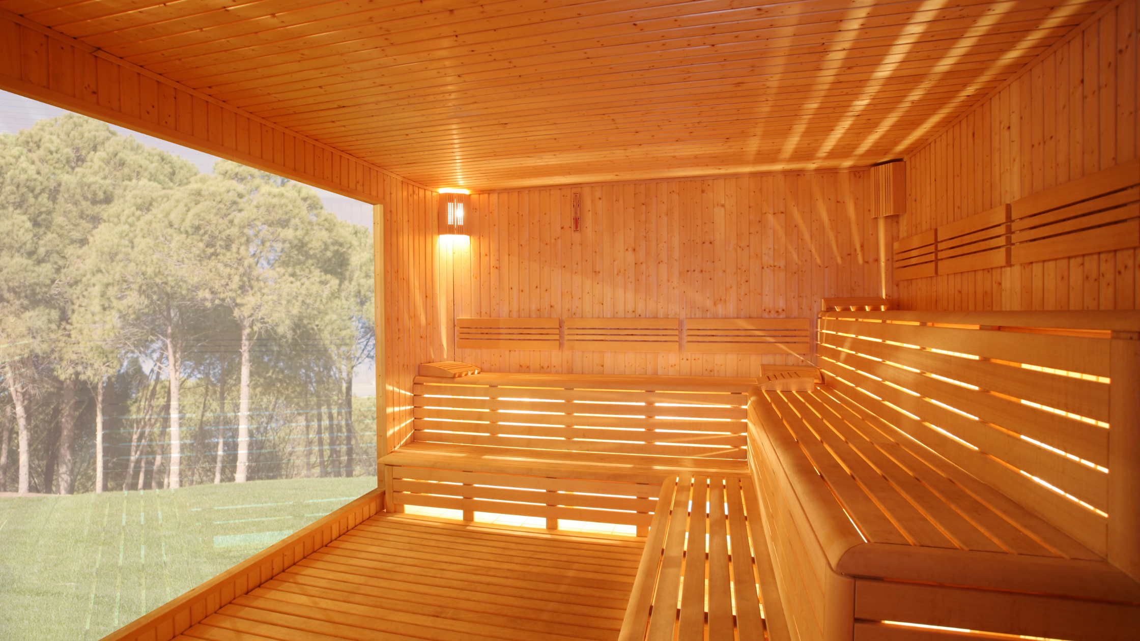 Top Commercial Infrared Sauna