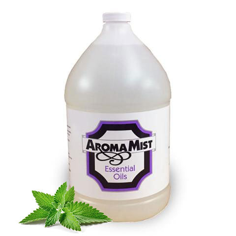 Spearmint 4 - main product view