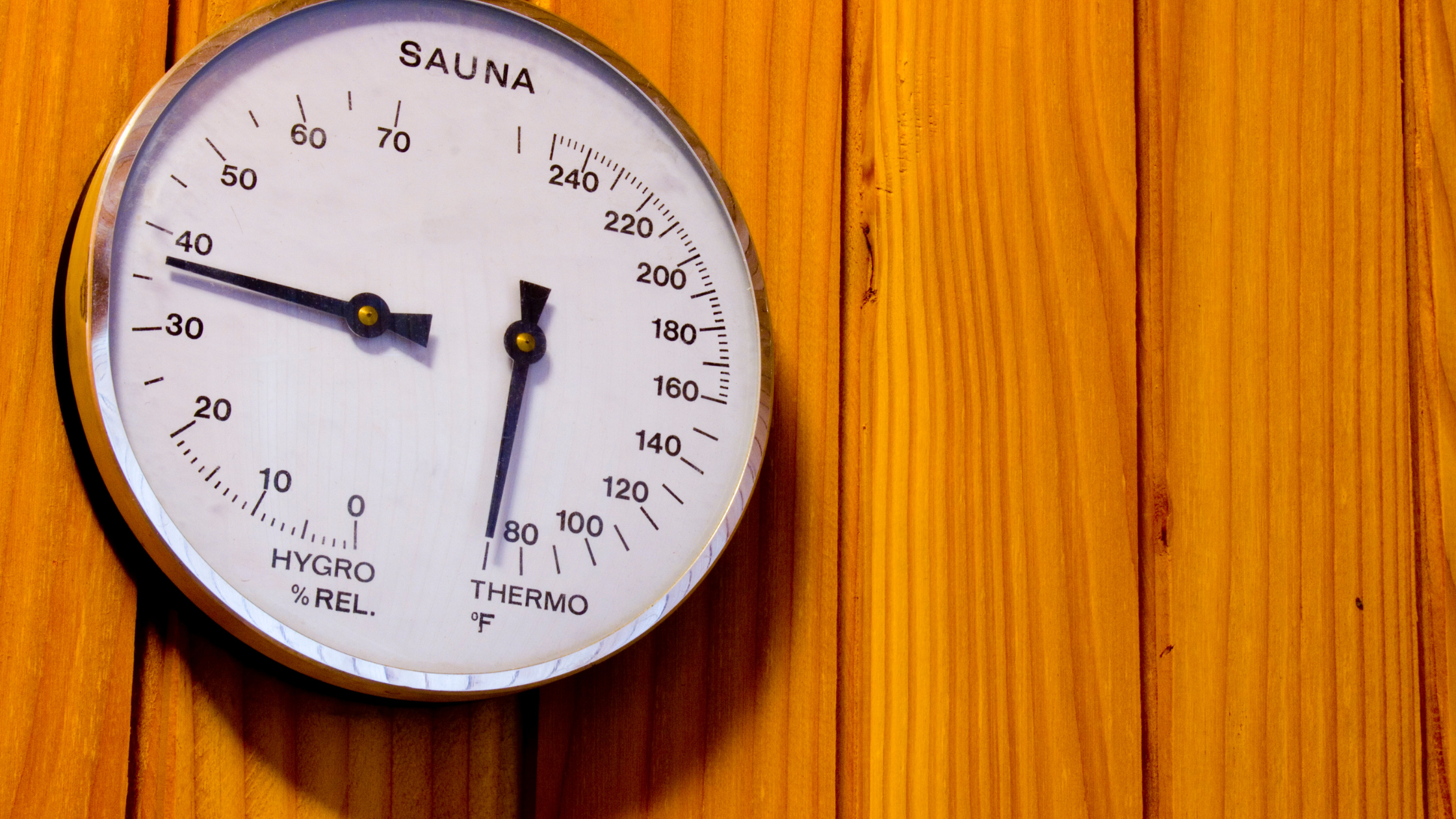 Best Sauna Thermometers