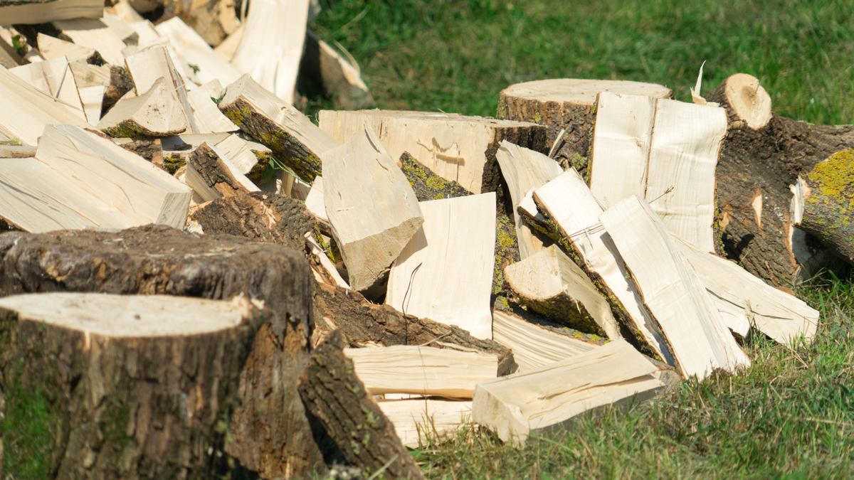 Choosing the Best Wood for Your Sauna
