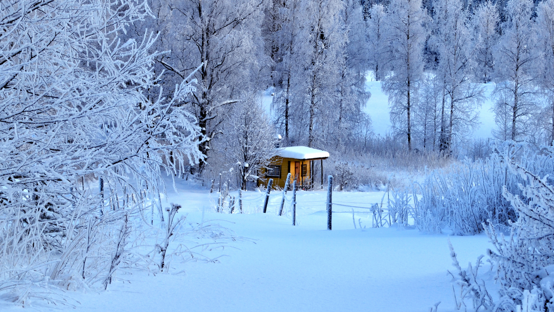 Does Sauna Help with Cold? Exploring Natural Relief Methods