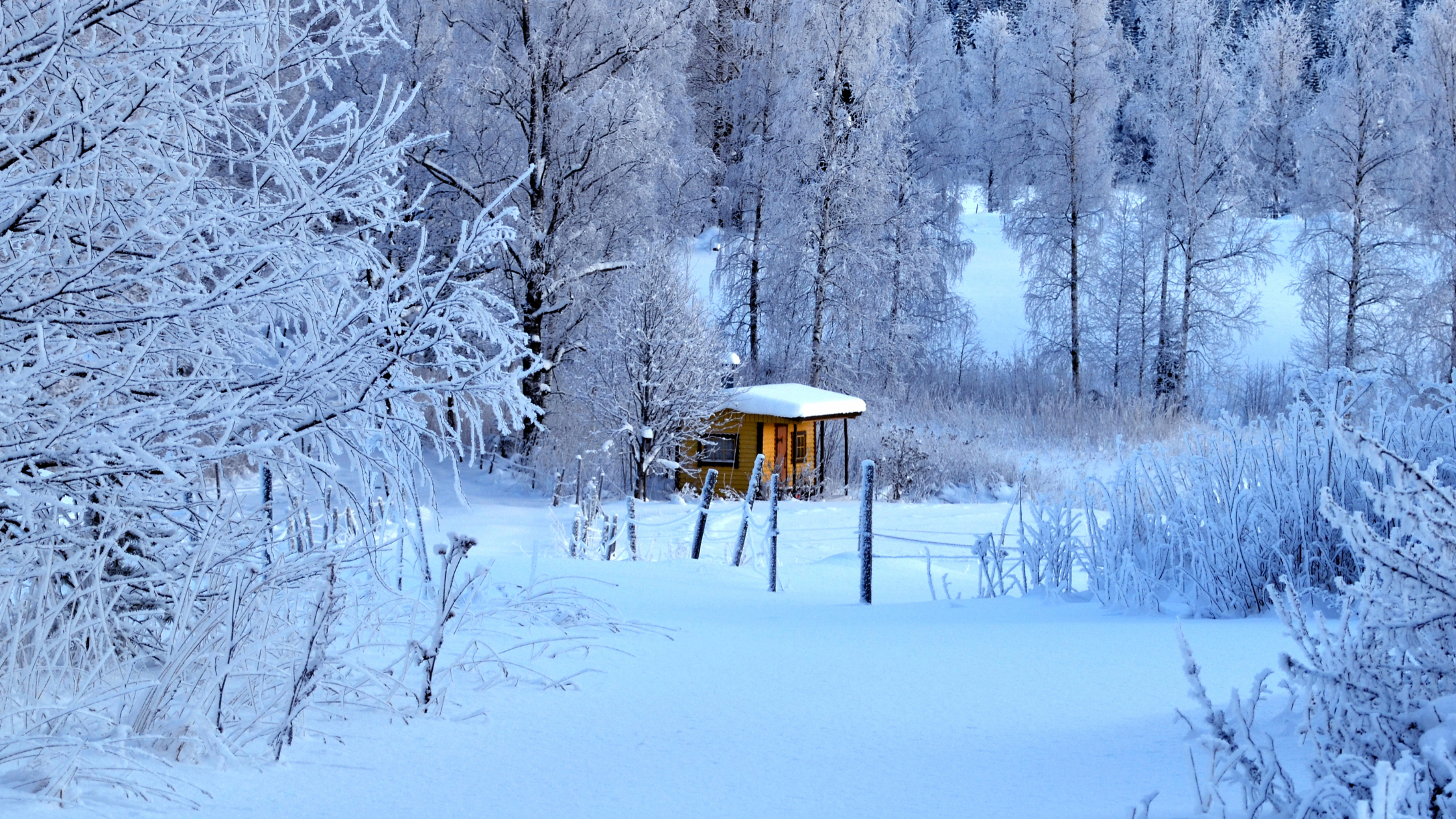 Does Sauna Help with Cold? Exploring Natural Relief Methods