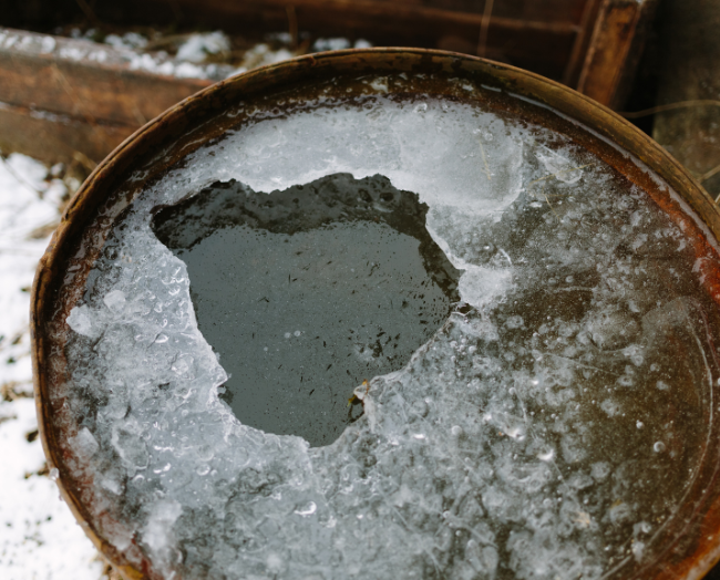 Ice Barrel vs Cold Plunge: Exploring the Best Cold Therapy Options