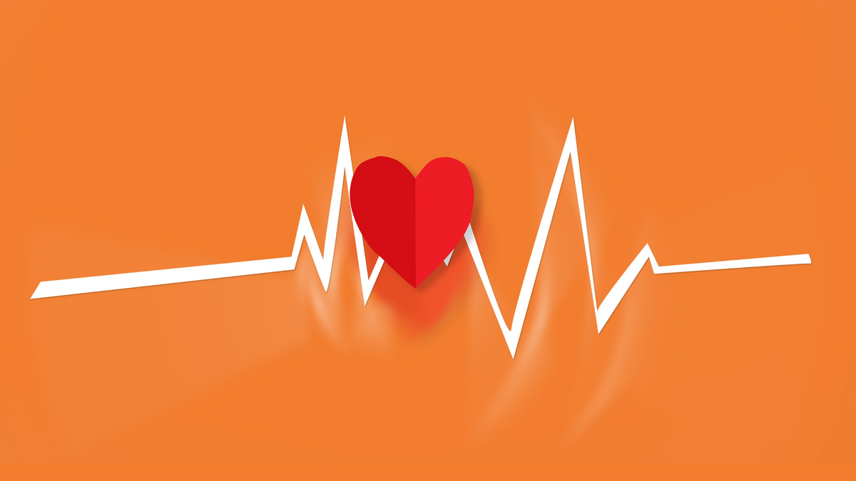 Sauna vs Cardio: Which is Better for Your Health