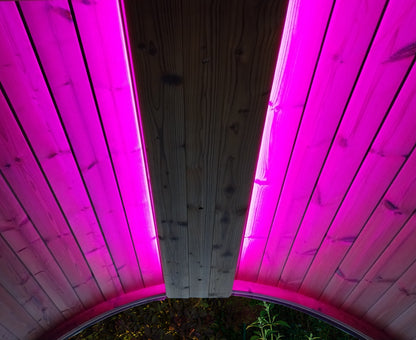SaunaLife Mood Lighting for Model X6 Sauna