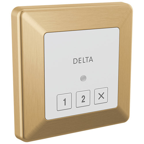 Delta SteamScape™ Square Control